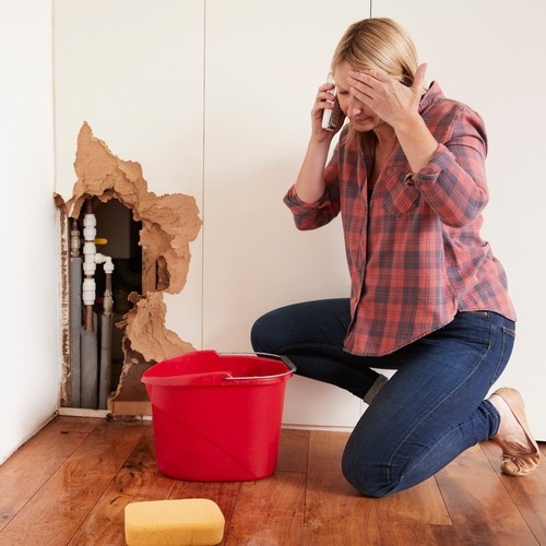 A Woman Calls a Plumber for Help with Leak.